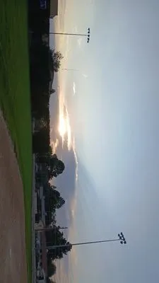 Taylor Landscaping and Yard Clean Up Logo