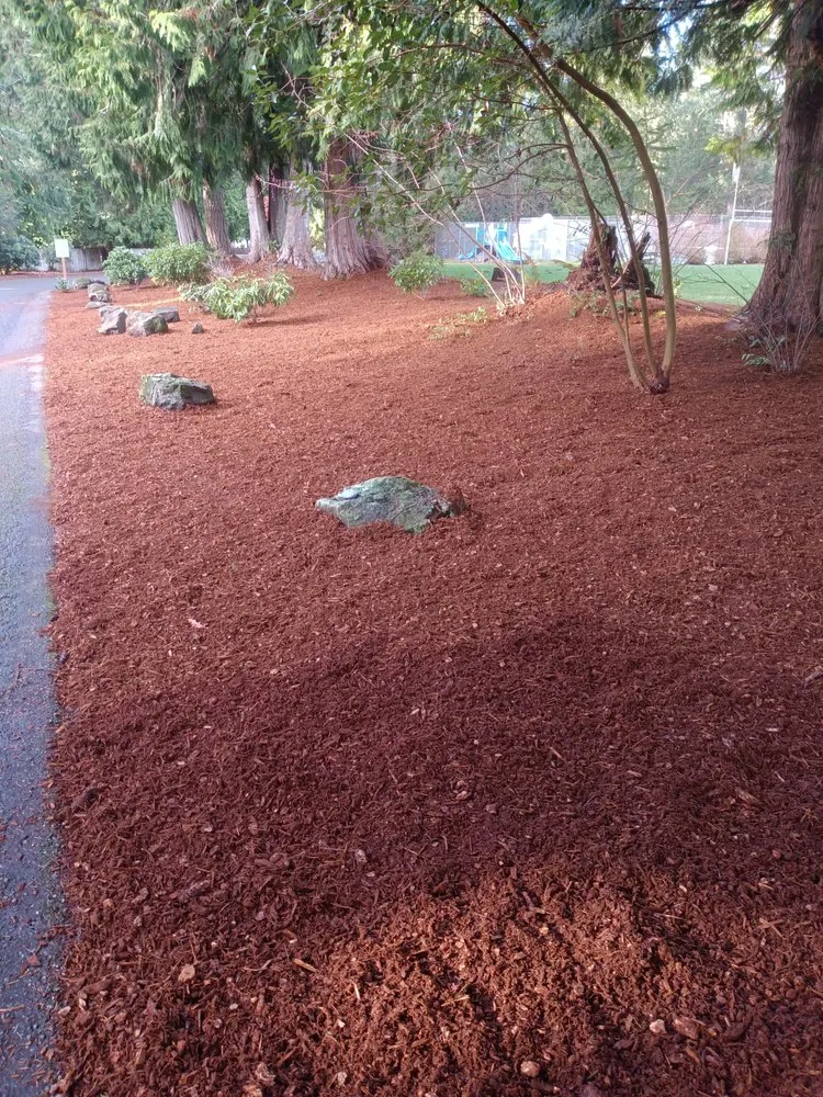 Top-rated residential landscaping experts serving Centralia, WA - Taylor landscaping