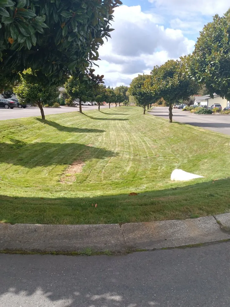 Reliable landscape design in Centralia, WA by Taylor landscaping