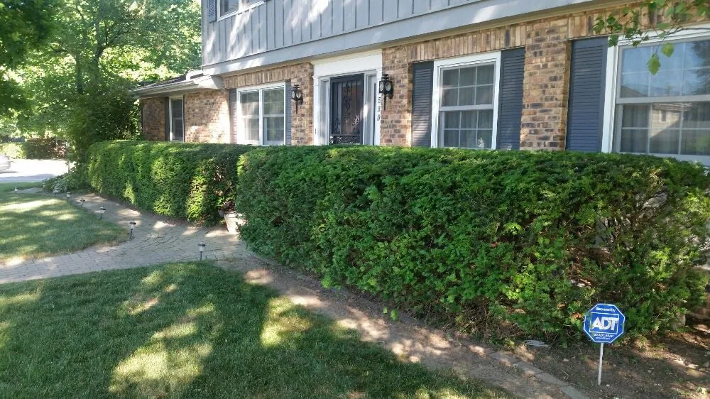 Expert landscape design near you across East Peoria, IL - Taylor Landscaping