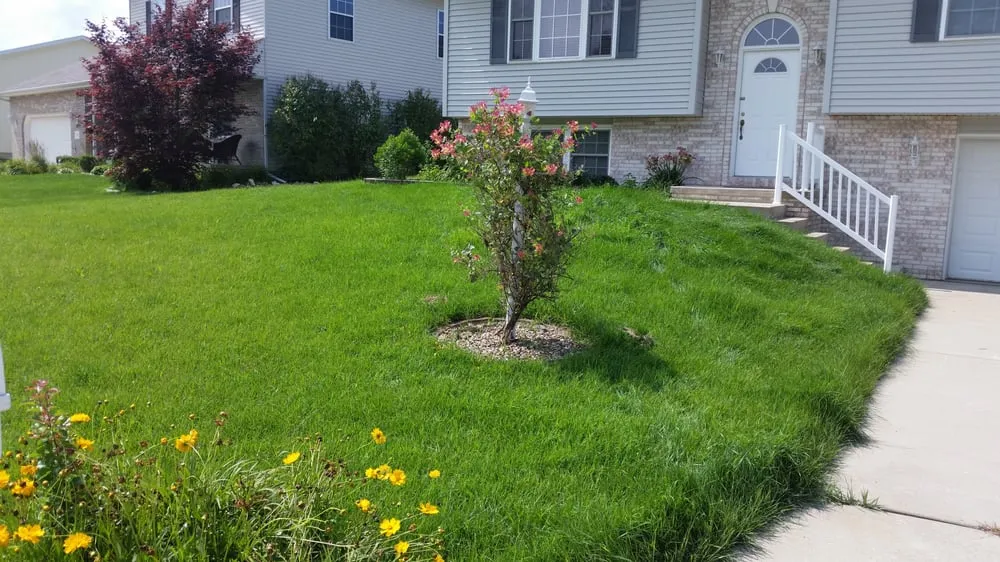 Local landscaping services in East Peoria, IL - Taylor Landscaping