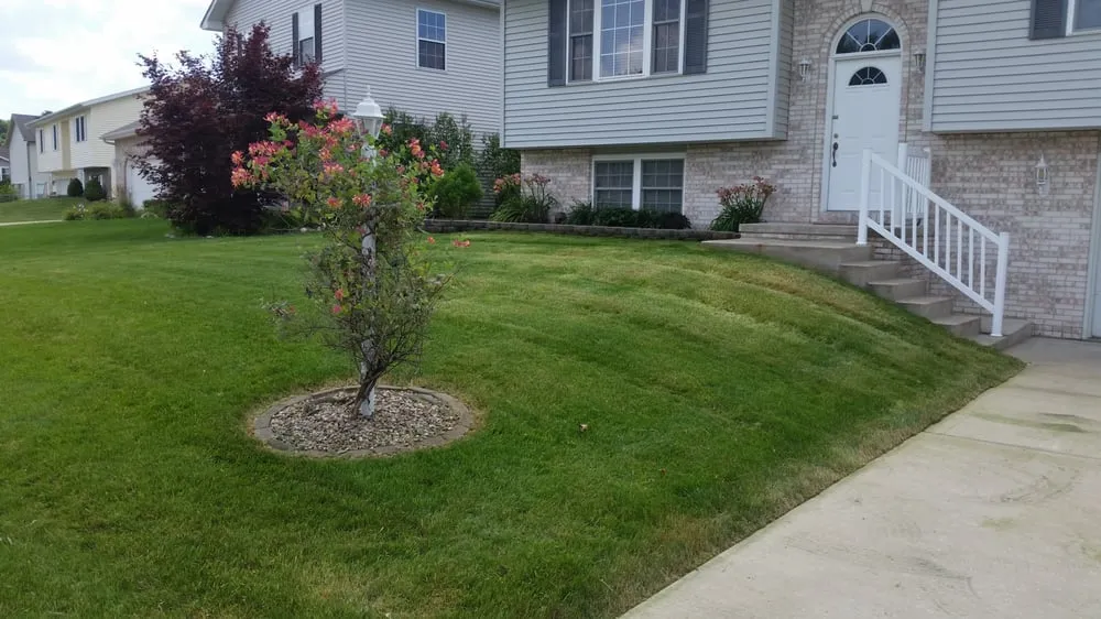 Trusted yard cleanup service in East Peoria, IL - Taylor Landscaping