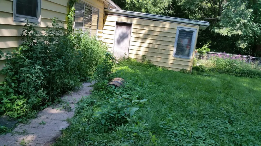 Reliable yard cleanup service with custom design across East Peoria, IL - Taylor Landscaping