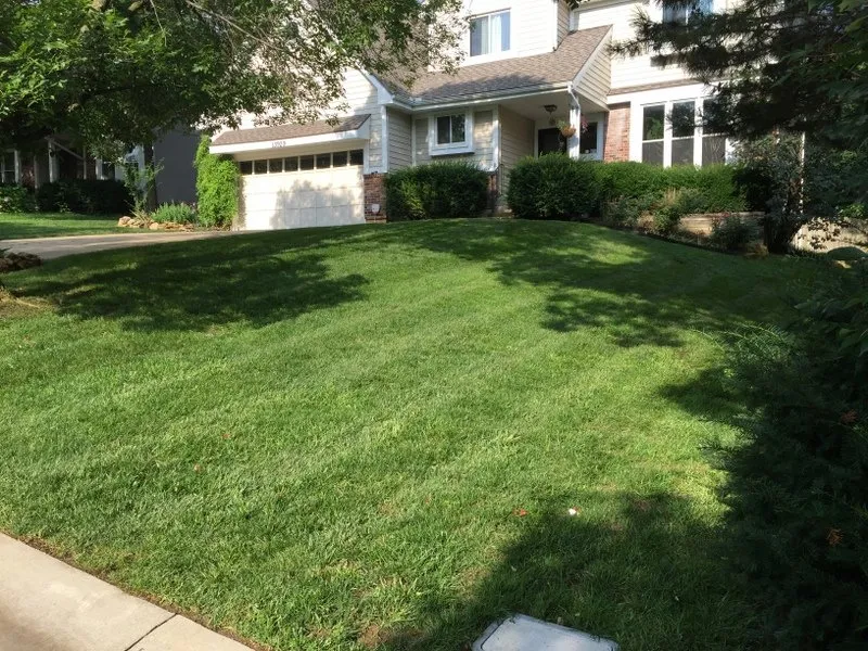 Affordable lawn mowing service for outdoor upgrades across Shawnee, KS - Taylor Lawn & Landscaping
