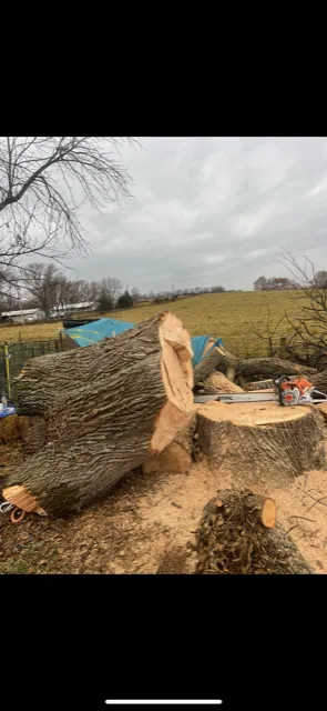 Expert yard maintenance for homes in Lawrence, KS by Taylor Lawn and Tree