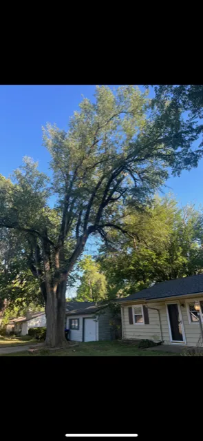 Top-rated residential landscaping in Lawrence, KS - Taylor Lawn and Tree