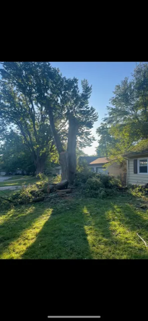 Affordable landscaping services near you in Lawrence, KS by Taylor Lawn and Tree