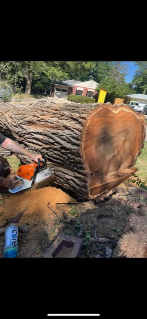 Local outdoor landscaping in Lawrence, KS by Taylor Lawn and Tree
