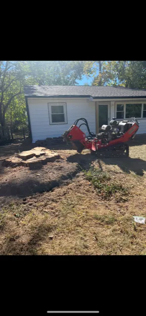 Trusted landscaping services in Lawrence, KS - Taylor Lawn and Tree