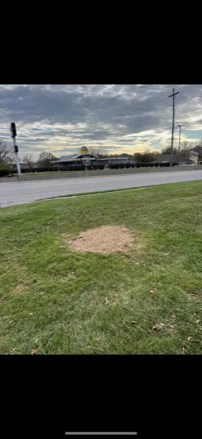 Professional garden landscaping for homes in Lawrence, KS by Taylor Lawn and Tree