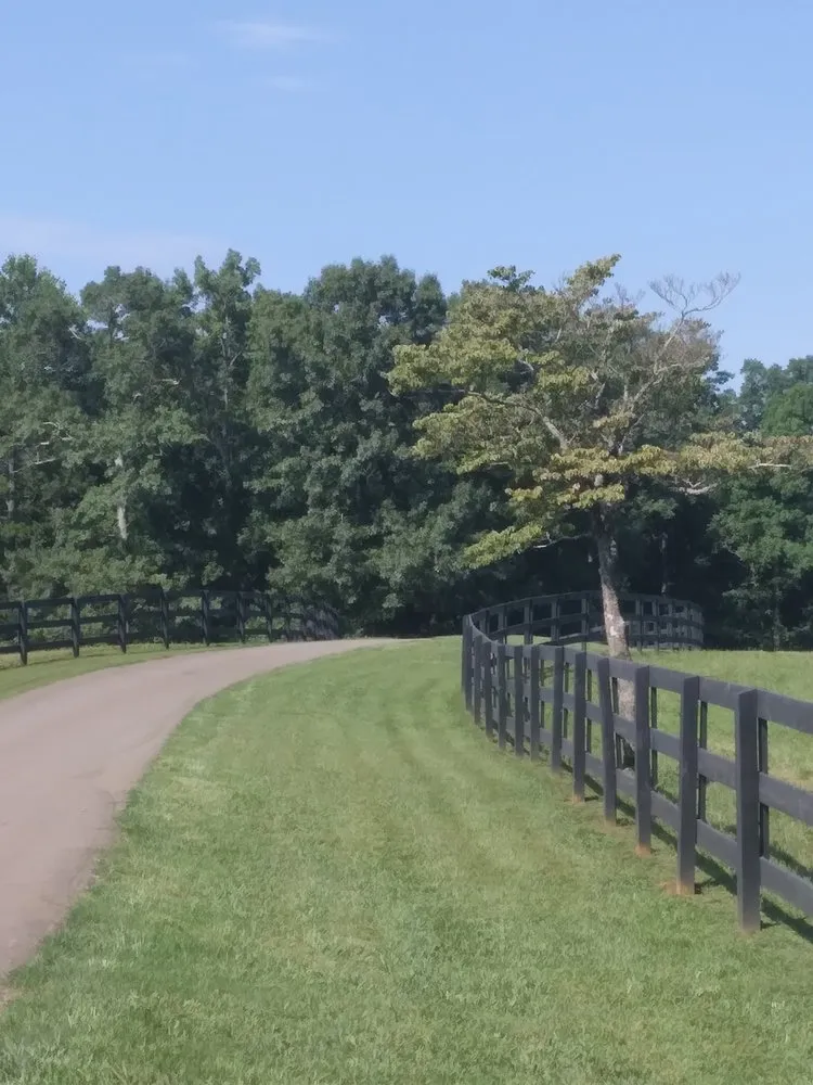 Reliable residential landscaping experts serving Jasper, GA - Taylor Lawn Care