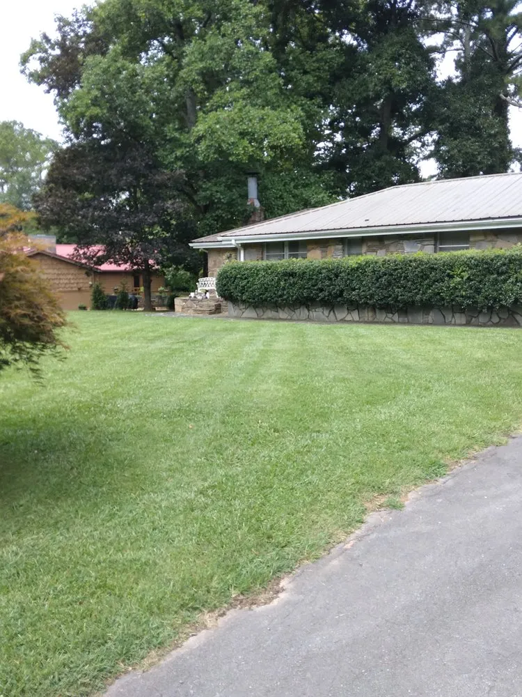 Local lawn care service with custom design across Jasper, GA - Taylor Lawn Care