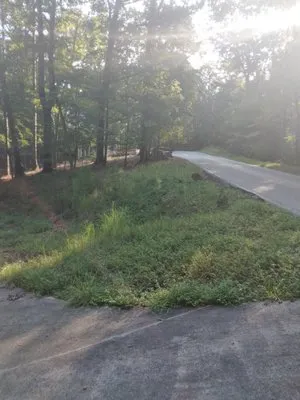 Taylor Lawn Care Logo