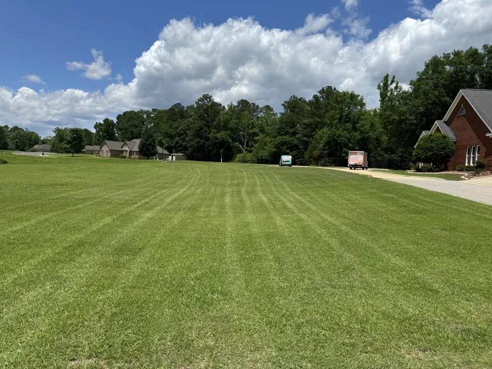 Local yard maintenance for year-round maintenance in Northport, AL by Taylor Lawn Care