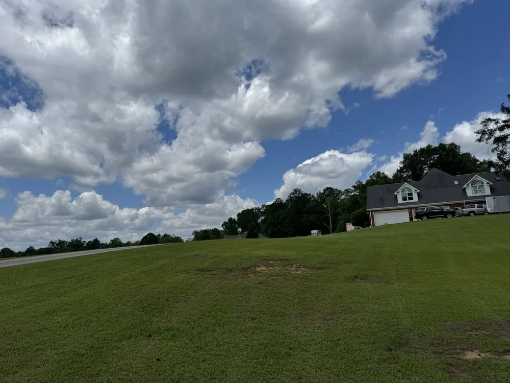 Local yard maintenance in Northport, AL by Taylor Lawn Care