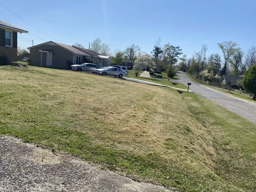 Expert yard maintenance in Oxford, AL by Taylor Lawn Care