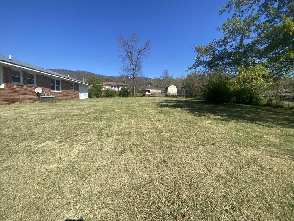 Trusted yard cleanup service for year-round maintenance across Oxford, AL - Taylor Lawn Care