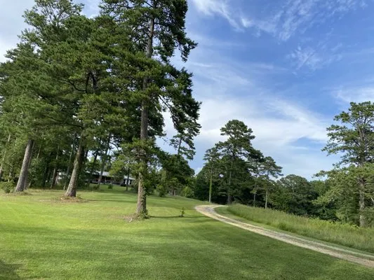 Taylor Lawn Care Logo