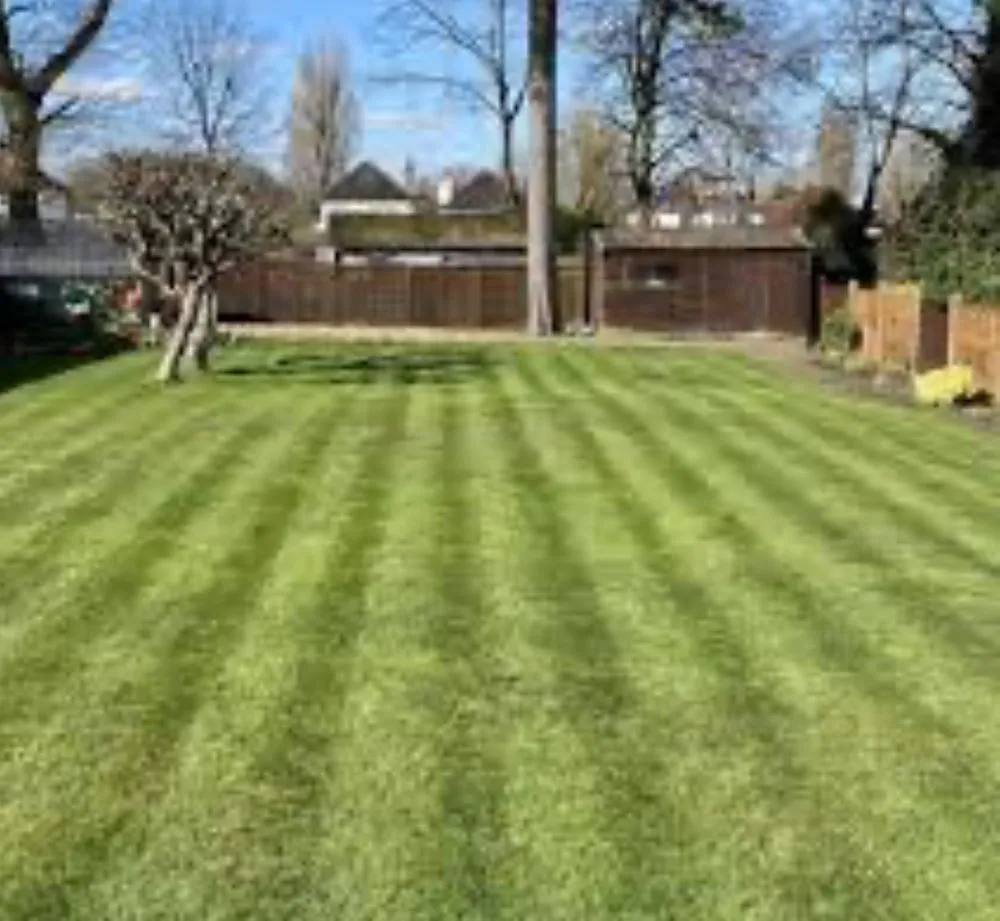 Local landscape design for year-round maintenance in Lansing, MI by Taylor Lawn Service