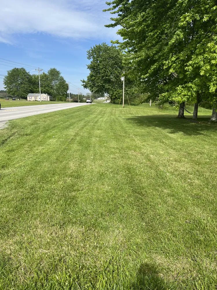 Trusted yard cleanup service experts serving Aurora, IN - Taylor Lawncare