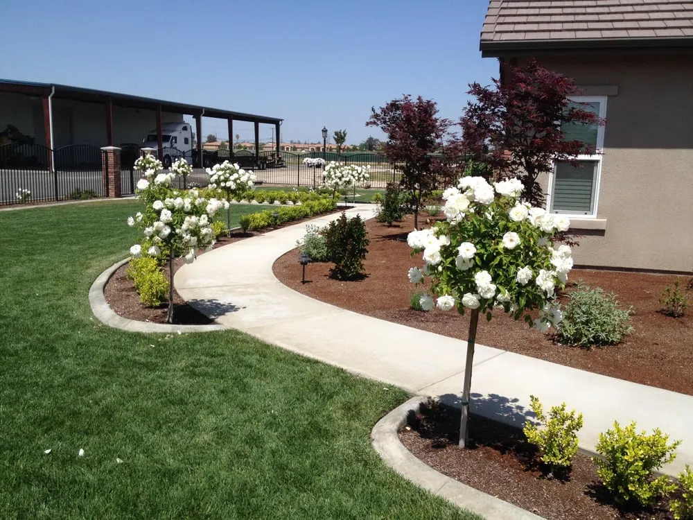 Custom yard maintenance in Exeter, CA - Taylor Made Landscape & Design