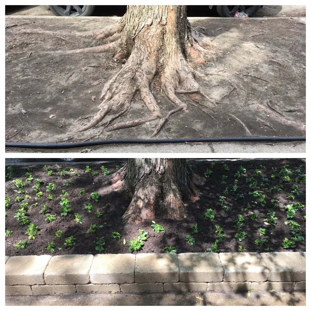 Trusted landscape installation in Chicago, IL - Taylor Made Landscape Design