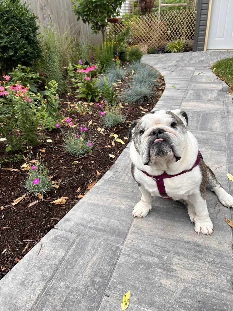 Local residential landscaping in Chicago, IL - Taylor Made Landscape Design