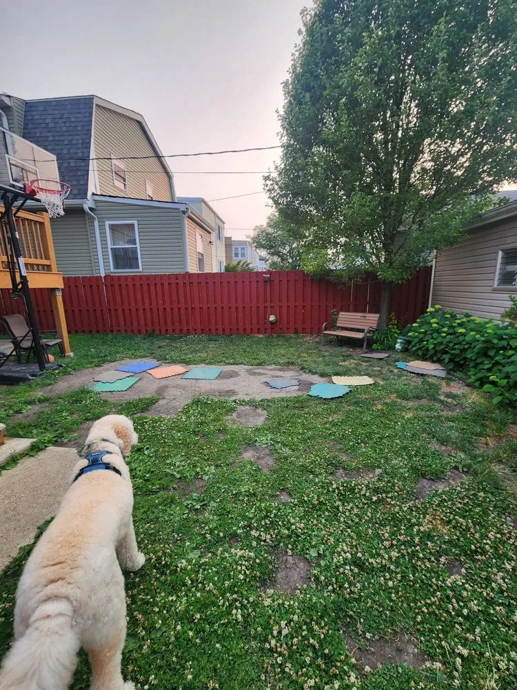 Local lawn care service experts serving Chicago, IL - Taylor Made Landscape Design