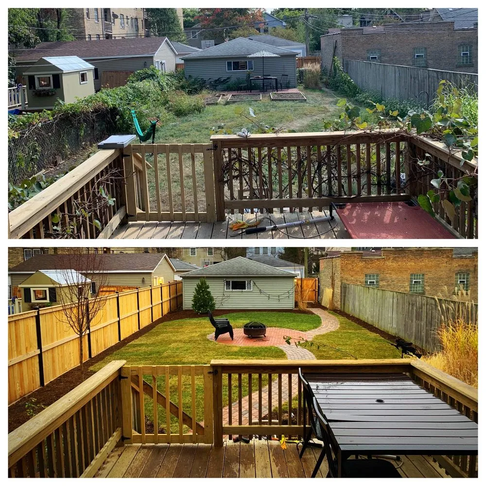 Reliable yard cleanup service for year-round maintenance across Chicago, IL - Taylor Made Landscape Design