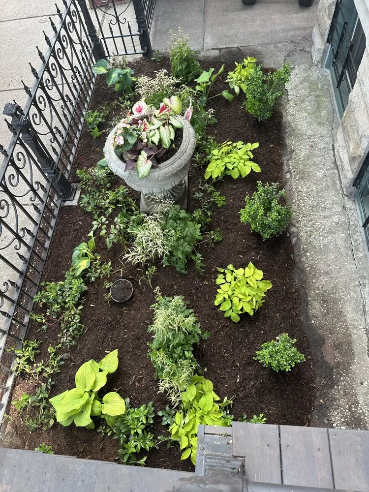 Trusted yard maintenance in Chicago, IL by Taylor Made Landscape Design