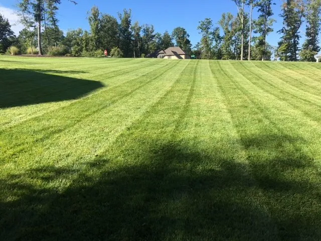 Custom residential landscaping for outdoor upgrades across Glen Allen, VA - Taylor-Made Landscaping