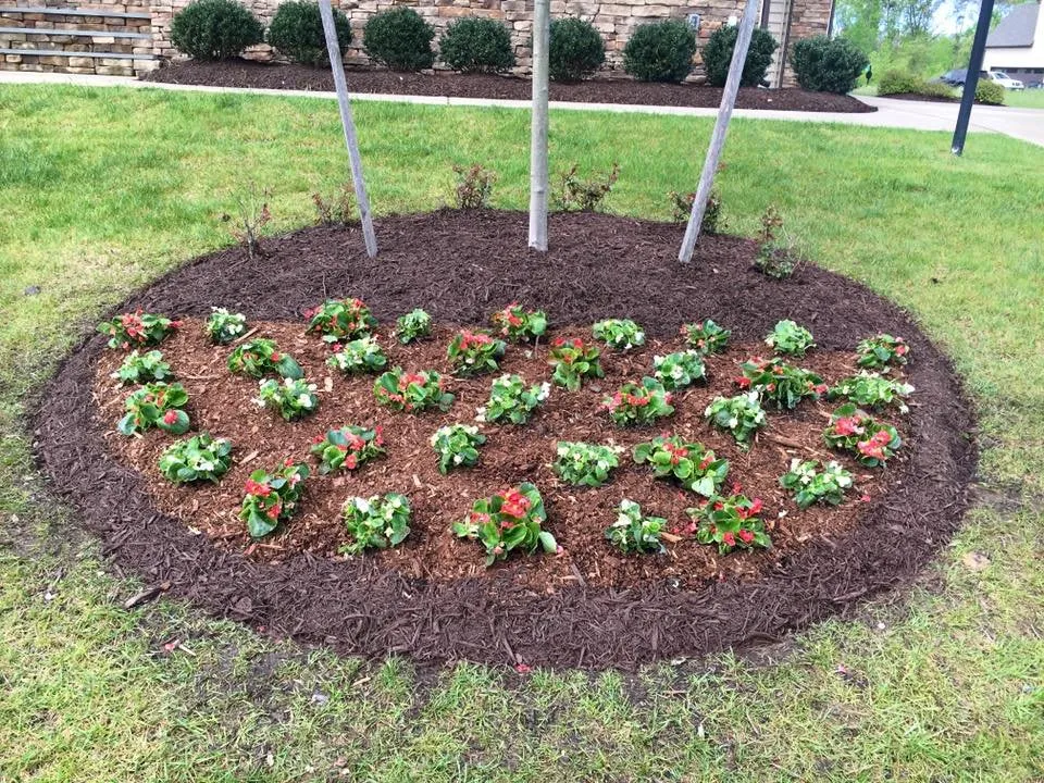 Affordable yard cleanup service with custom design in Glen Allen, VA by Taylor-Made Landscaping