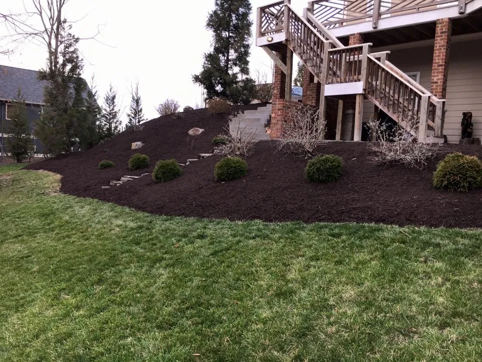 Professional yard cleanup service for year-round maintenance in Glen Allen, VA by Taylor-Made Landscaping