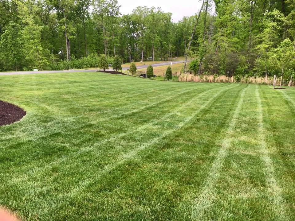 Top-rated yard cleanup service in Glen Allen, VA by Taylor-Made Landscaping
