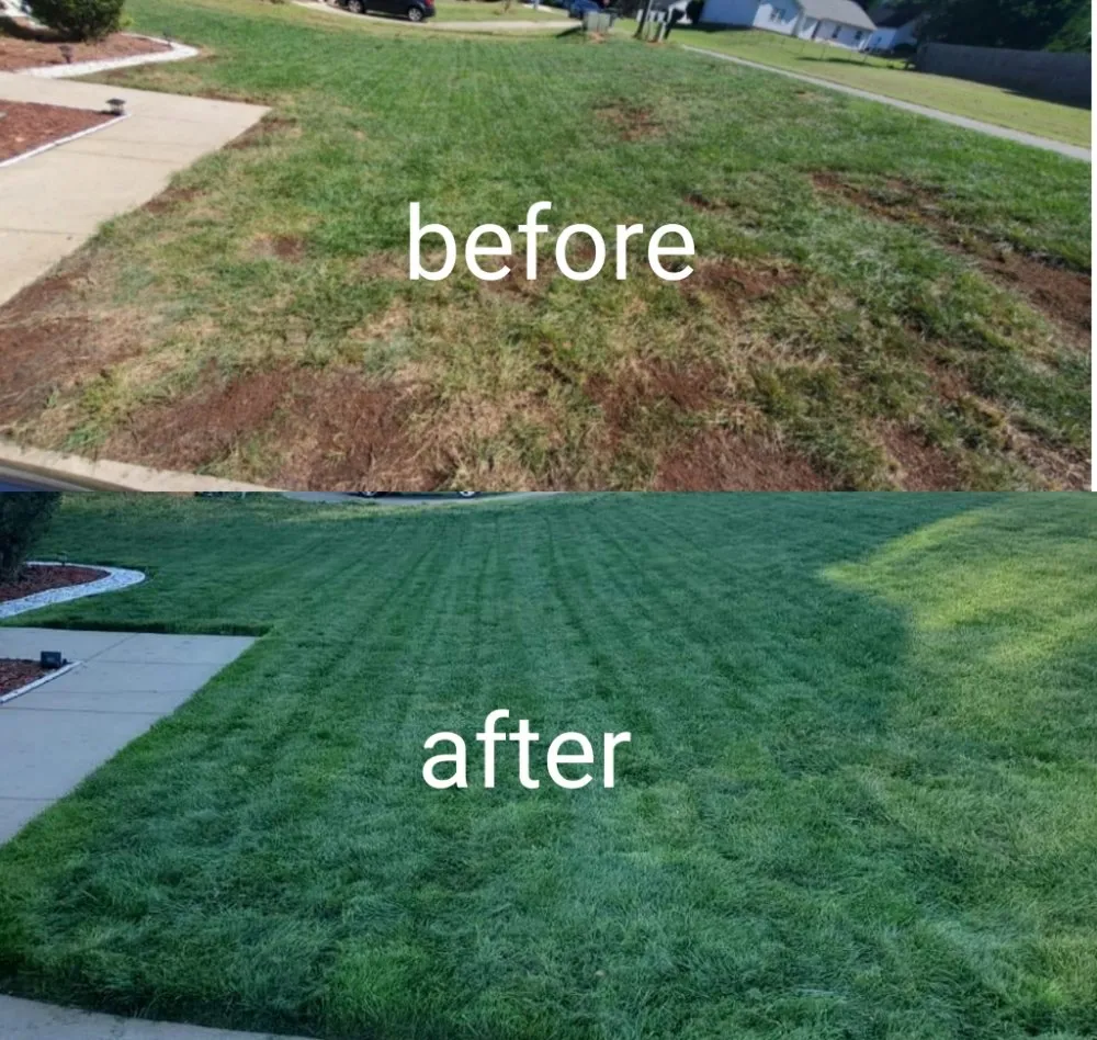 Reliable outdoor landscaping in Gastonia, NC - Taylor Made Lawn Services