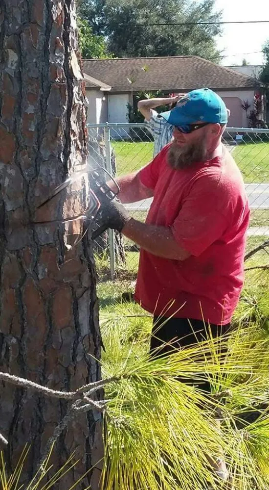 Top-rated lawn care service for beautiful yards across Palm Bay, FL - Taylor Made Trees