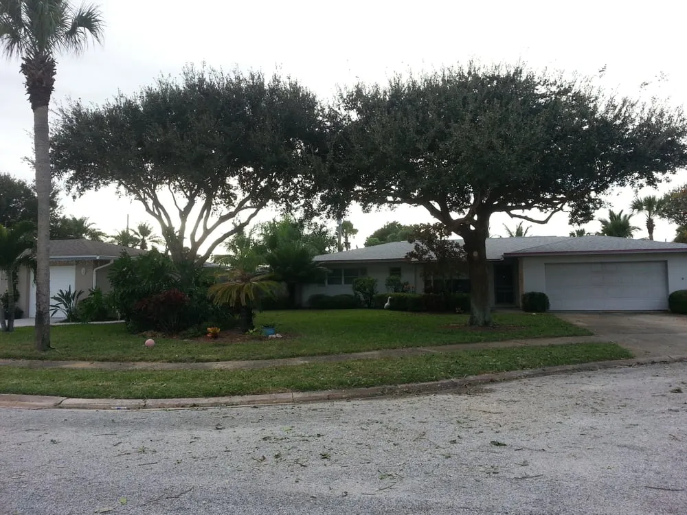Affordable outdoor landscaping in Palm Bay, FL by Taylor Made Trees