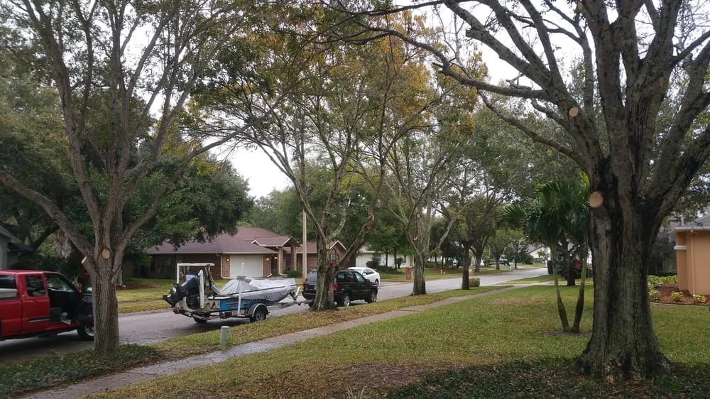 Affordable garden landscaping near you across Palm Bay, FL - Taylor Made Trees