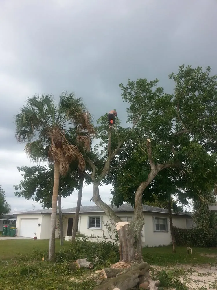Reliable landscape installation experts serving Palm Bay, FL - Taylor Made Trees
