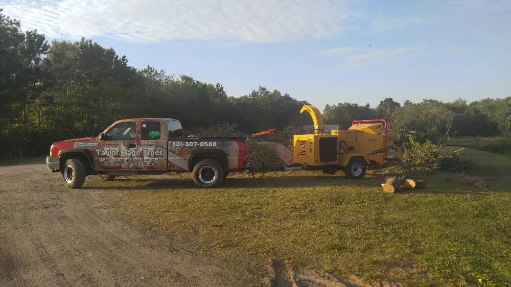 Top-rated landscaping services for outdoor upgrades across Palm Bay, FL - Taylor Made Trees