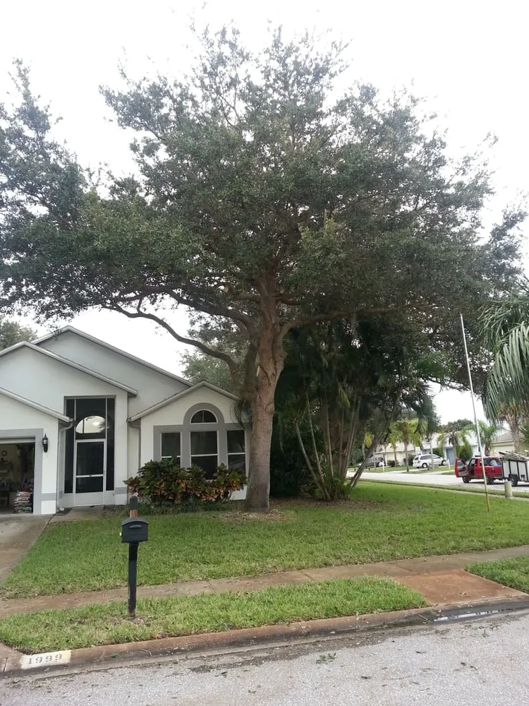 Affordable landscape design for beautiful yards in Palm Bay, FL by Taylor Made Trees