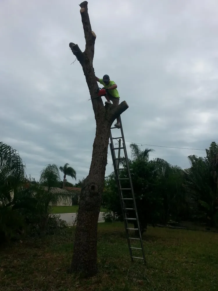 Custom lawn care service in Palm Bay, FL - Taylor Made Trees