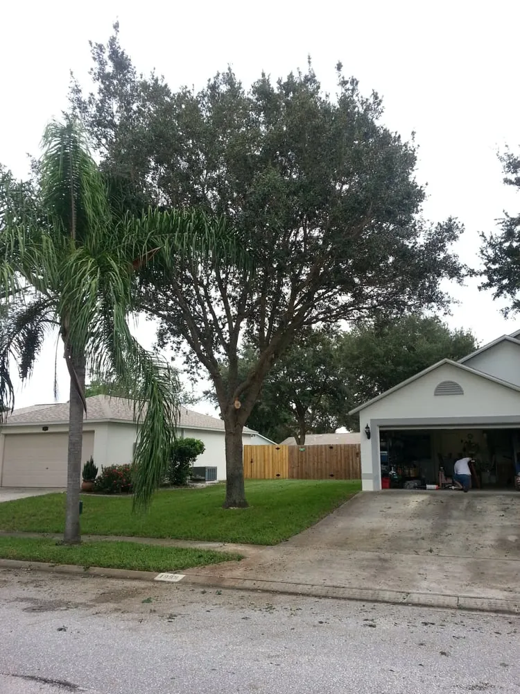 Affordable yard cleanup service experts serving Palm Bay, FL - Taylor Made Trees