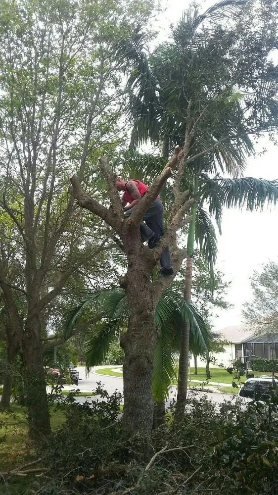Trusted garden landscaping with custom design across Palm Bay, FL - Taylor Made Trees