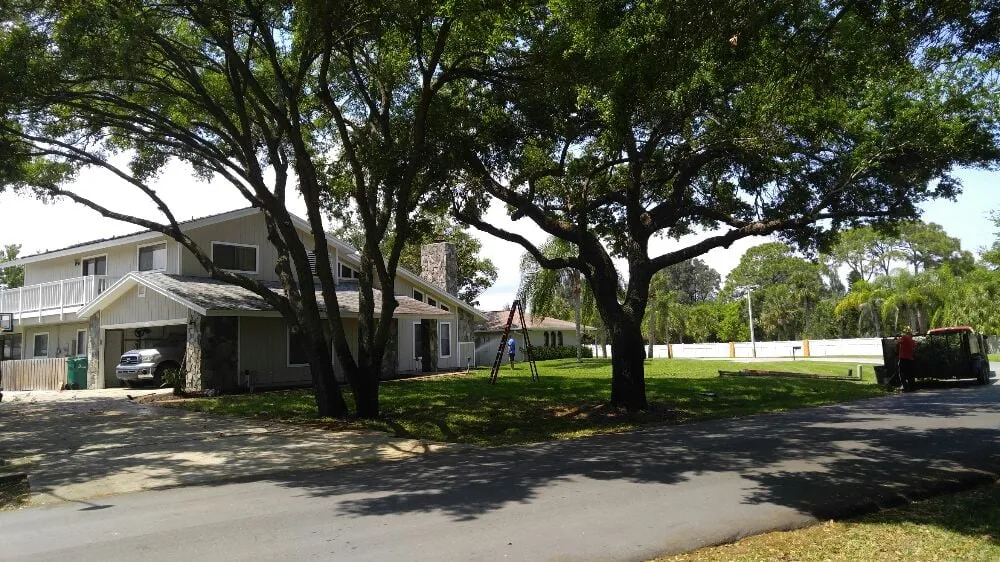 Reliable yard maintenance with custom design across Palm Bay, FL - Taylor Made Trees