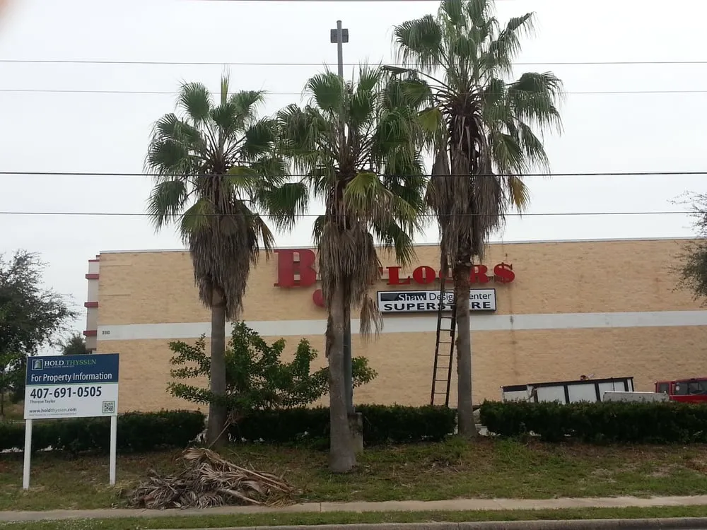 Expert yard maintenance for homes in Palm Bay, FL by Taylor Made Trees