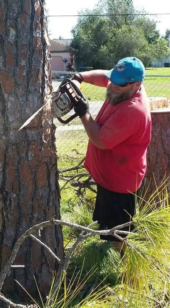 Trusted yard maintenance experts serving Palm Bay, FL - Taylor Made Trees