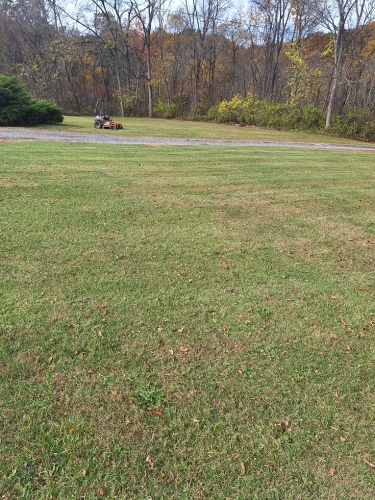 Local yard maintenance experts serving Cambridge, OH - Taylor Mowing