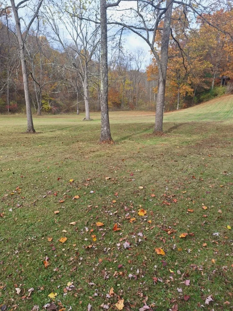 Professional yard maintenance experts serving Cambridge, OH - Taylor Mowing