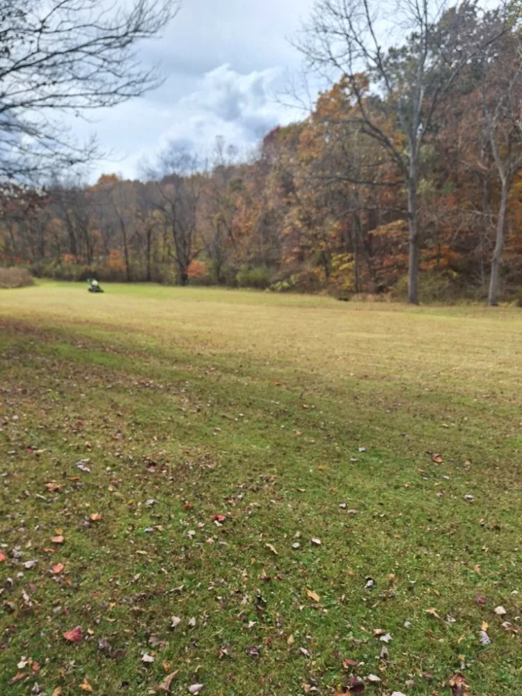 Local residential landscaping for outdoor upgrades in Cambridge, OH by Taylor Mowing